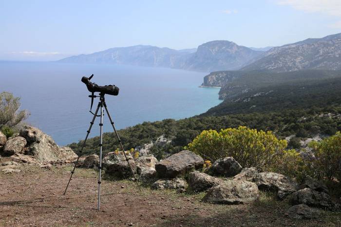 Eleanora's Falcon habitat, Cala Gonone, Sardinia © Dan Lay