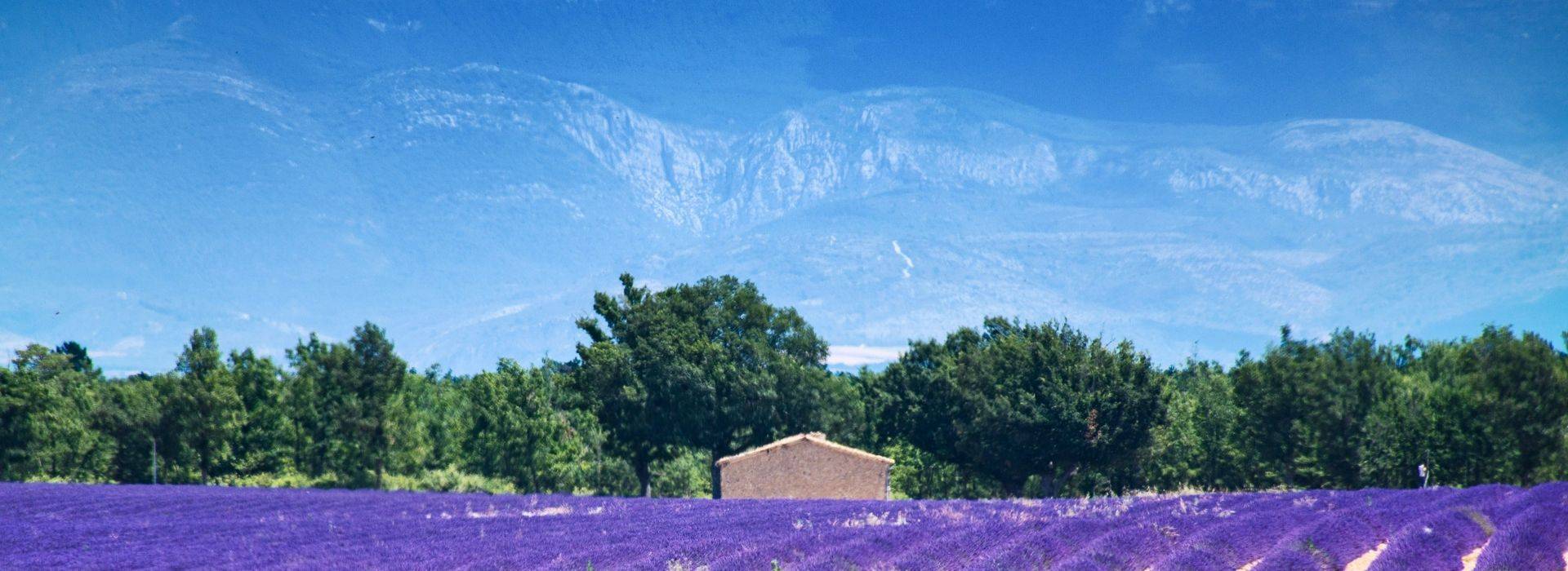 Provence_France_Pixabay.jpg