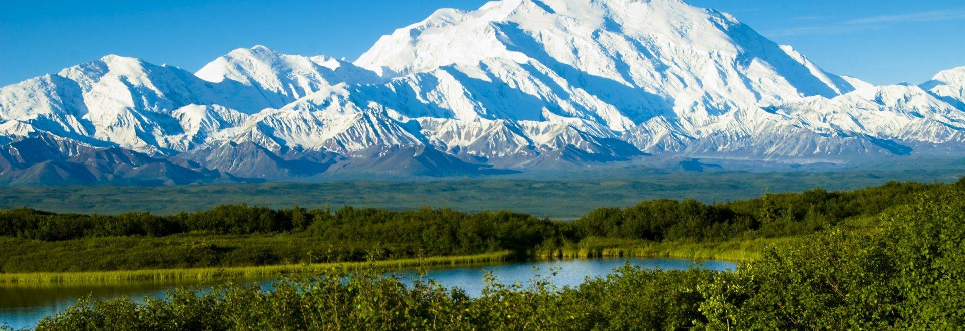 Denali National Park in-viewport