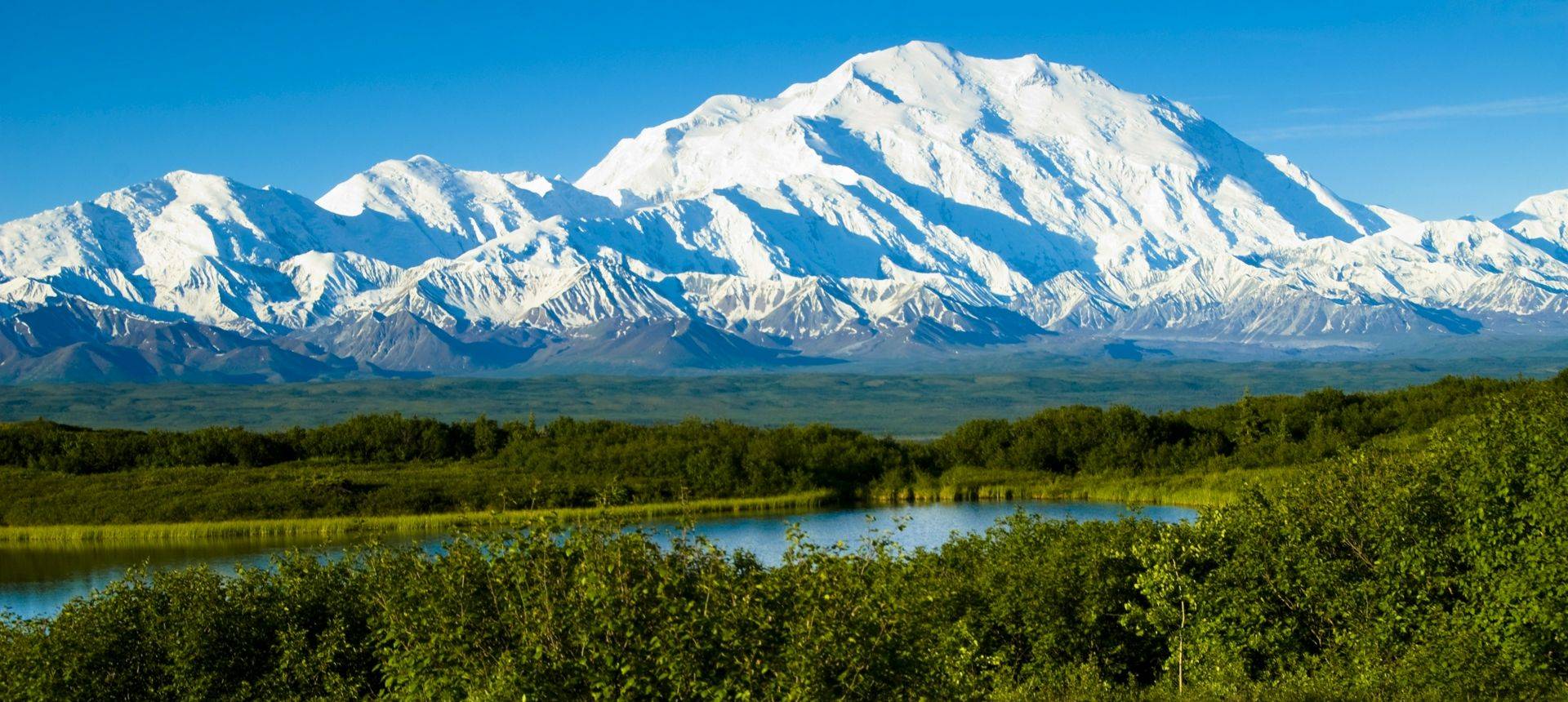 Denali National Park