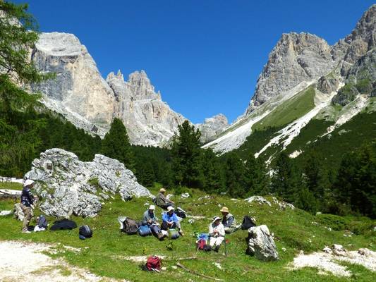 A nice place for a picnic © Alan Miller