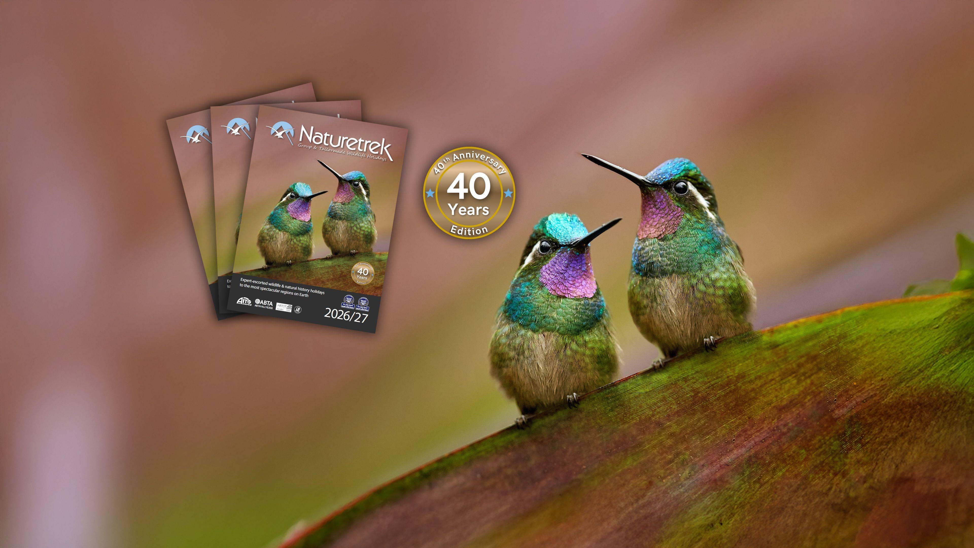 NEW 2026/27 Brochure Out Now