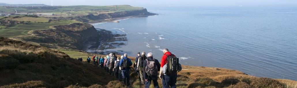 Guided Walking Lates