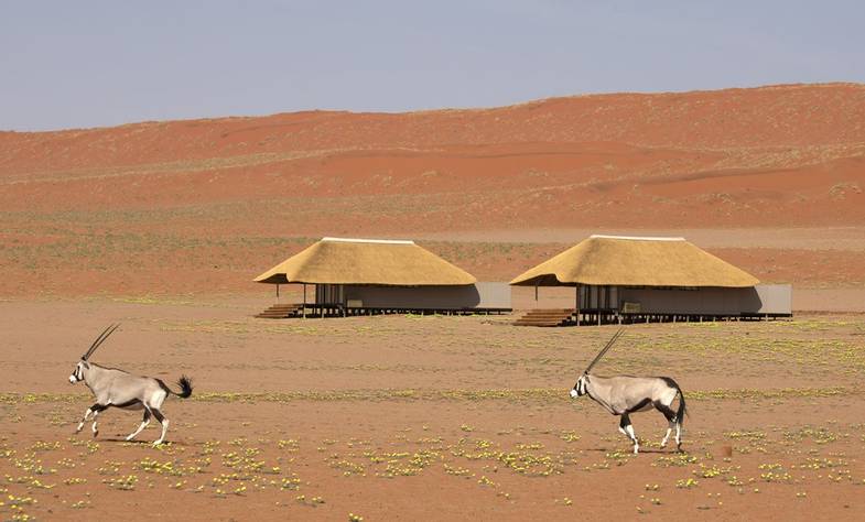 African Travel Inc - Namibia - Kwessi Dunes - Bedroom exteriors and oryx.jpg