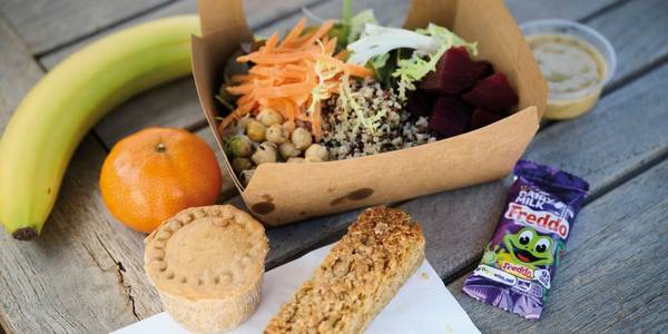 Exmoor views with pony