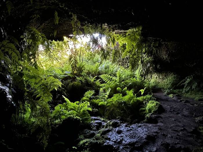 Lave cave (Sara Frost).jpg