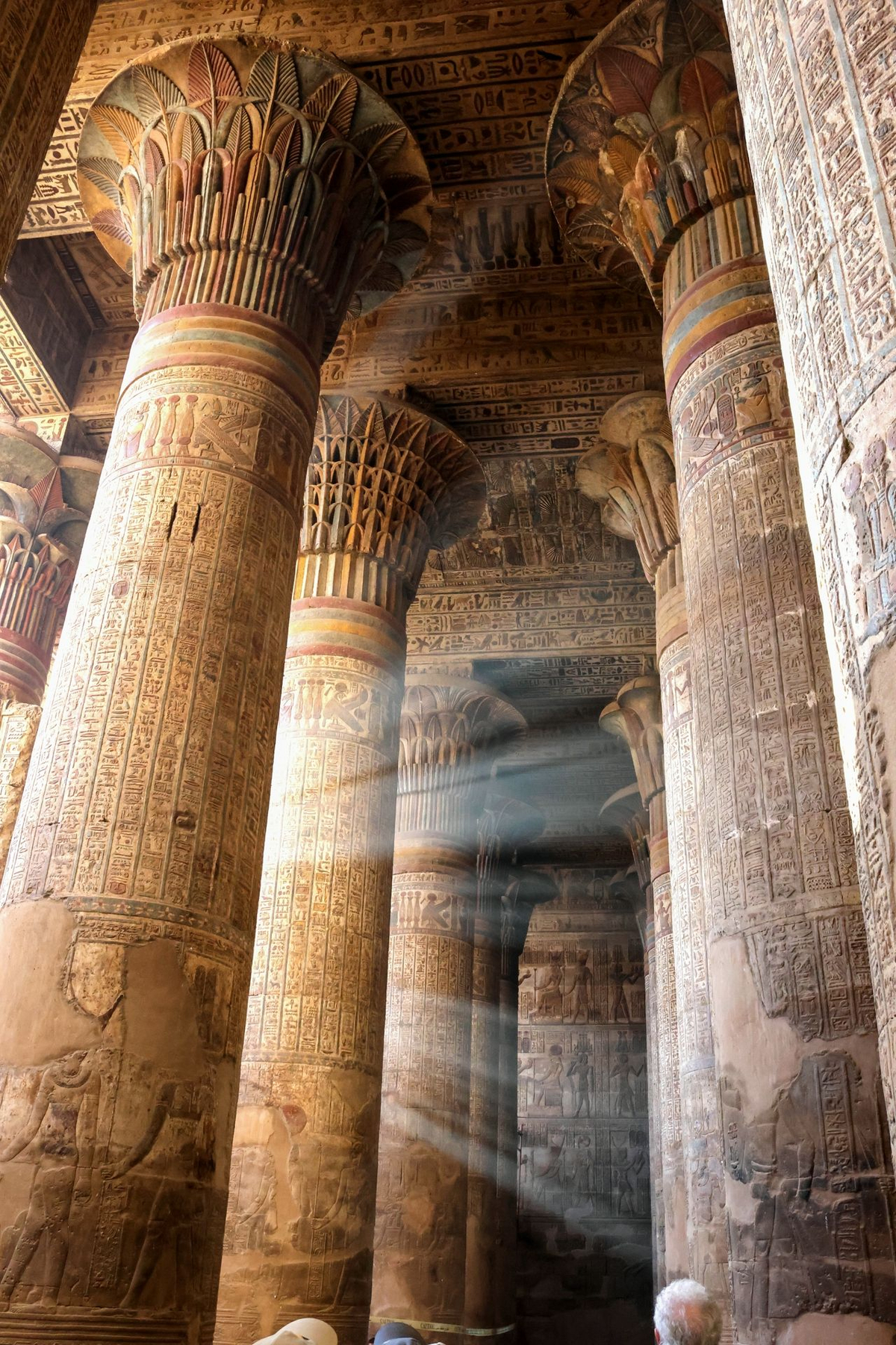 Egypt Birds & History –  A Wildlife Gallery
