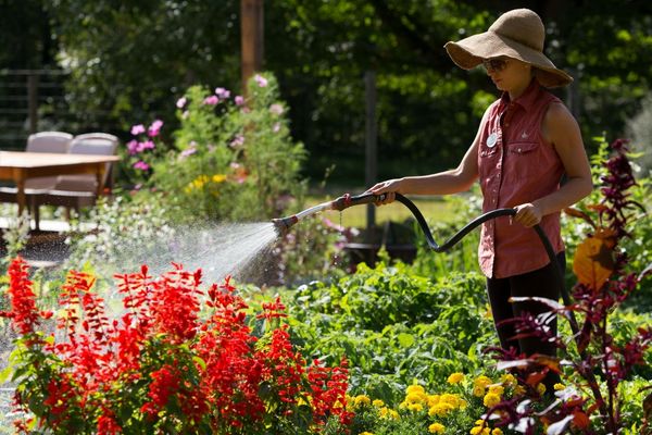 the-lodge-at-woodloch-Farm-Table-Garden.jpg