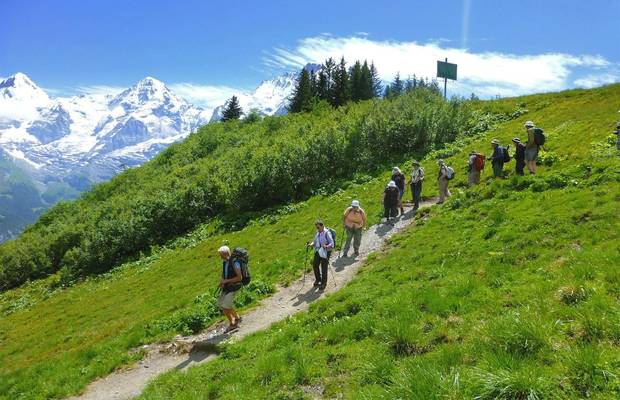 David Tattersfield, Wengen