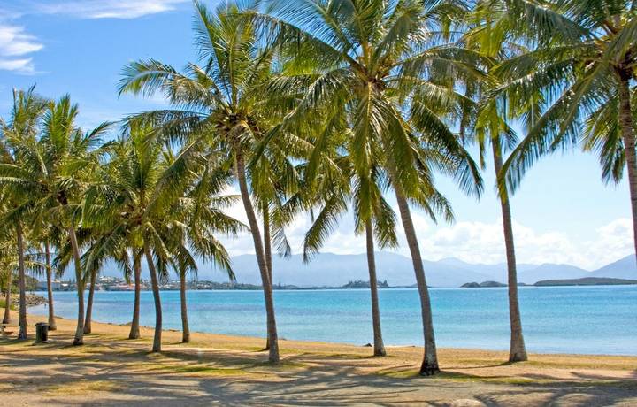 Palm tree lined beach front of Noumea, New Caledonia. Palm tree lined beach front of Noumea, New Caledonia.