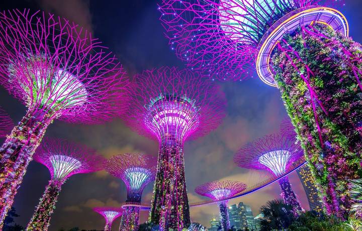SINGAPORE - FEB 11 , 2017 : Super tree in Garden by the Bay, Singapore. SINGAPORE - FEB 11 , 2017 : Super tree in Garden by the Bay, Singapore.