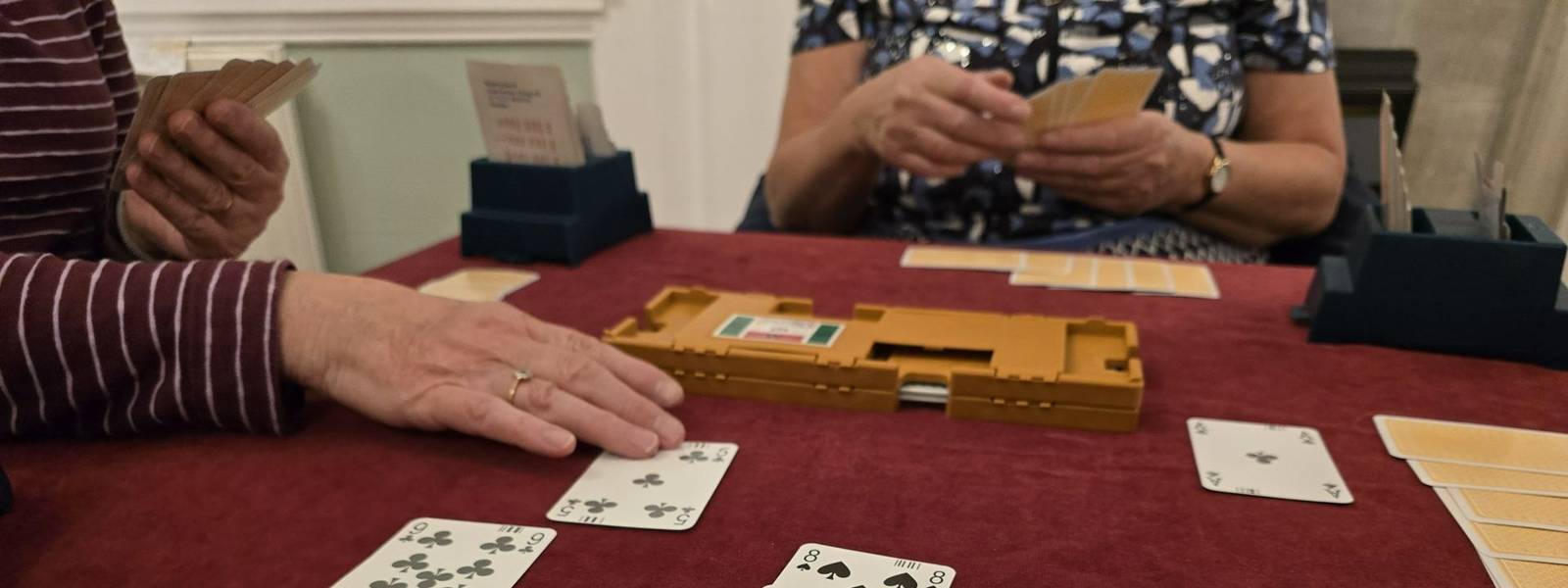 N Davison images - Bridge 2, Cotwolds, Oct 2025.jpg