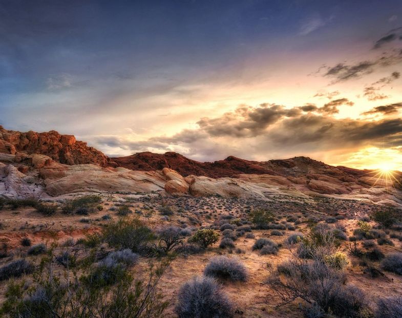 canyon-ranch-tucson-destination-sunset-desert floor.jpg