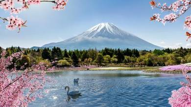 Tokyo - Secondary Image.jpg