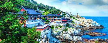Japan & Asia Adventure