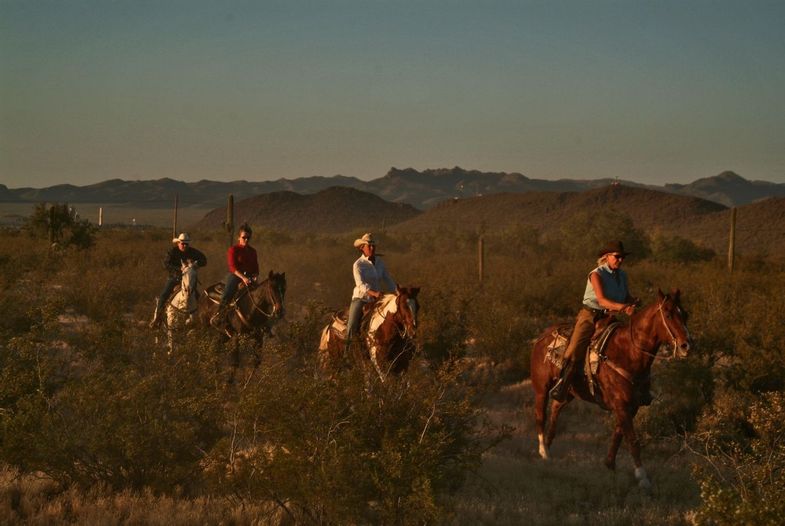 hidden-trails-white-stallion-ranch-arizona-horseback-riding-6.JPG