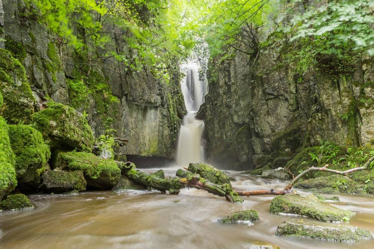 Southern Yorkshire Dales - Gentle Guided - AdobeStock_265223788.jpeg