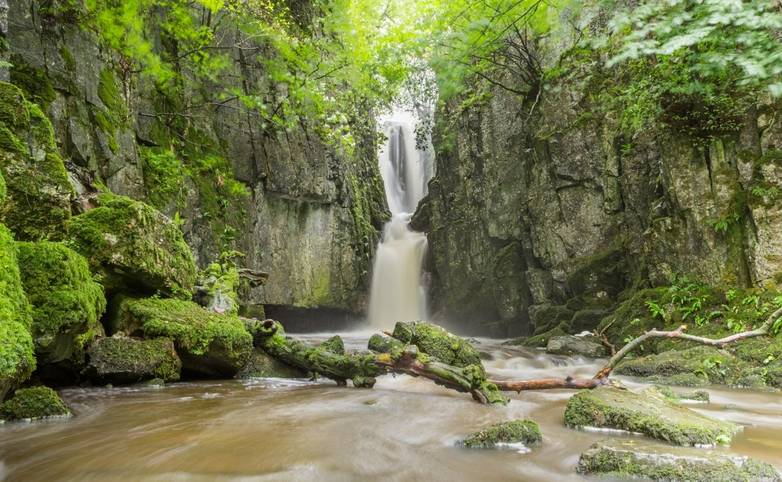 Southern Yorkshire Dales - Gentle Guided - AdobeStock_265223788.jpeg