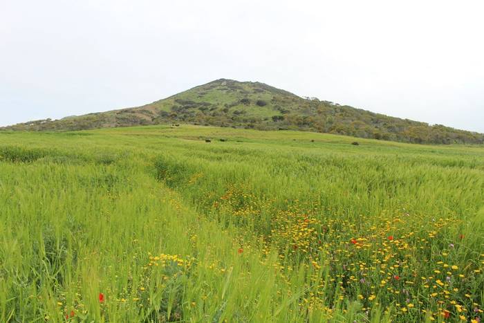 Tunisian landscapes © Mr M-A Dakhli