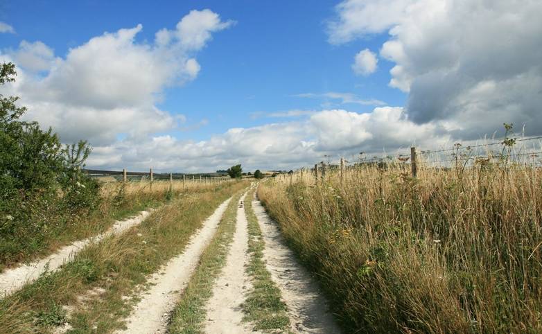Path heading north from Cissbury Ring.JPG