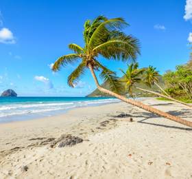 Martinique