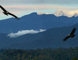 Ecuador - The Andes & Amazon