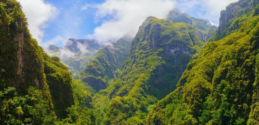 Madeira shutterstock_1007292091.jpg