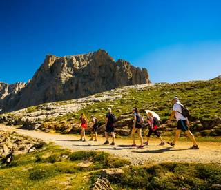 Group walking