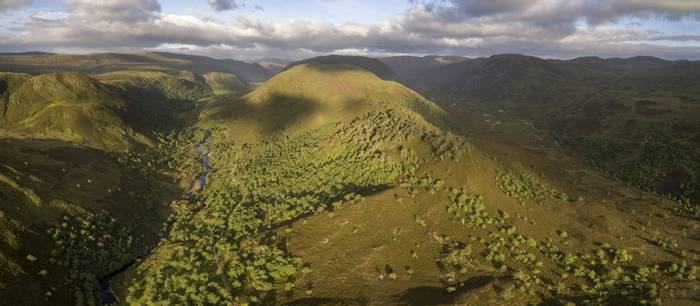 Woodland regeneration along Glen Mhor on the Alladale Wilderness Reserve in Easter Ross.