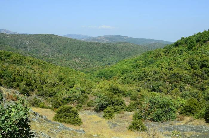 Dadia Forest, Greece shutterstock_600968495.jpg