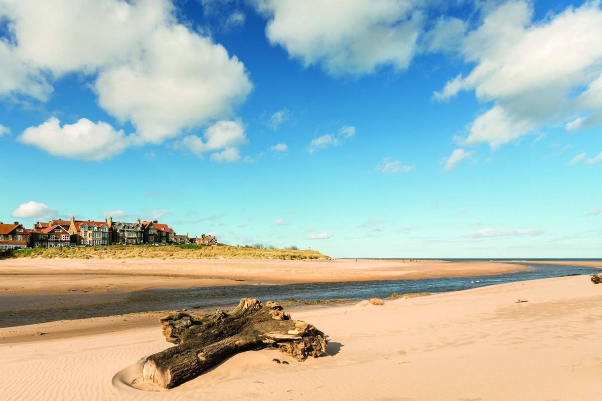 Alnmouth beach with driftwood as the River Aln meets the sea