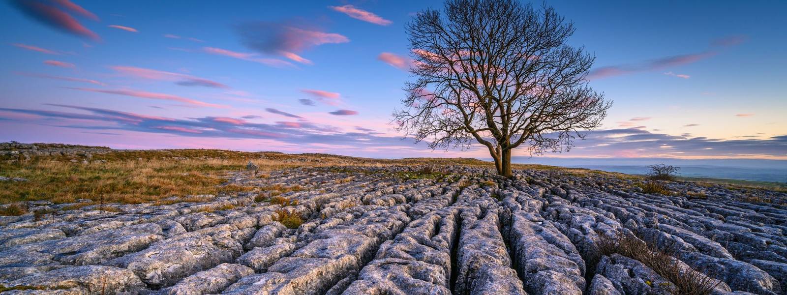 Above Malham Village in the Yorkshire Dales there is an area of Limestone Pavement known as Malham Lings