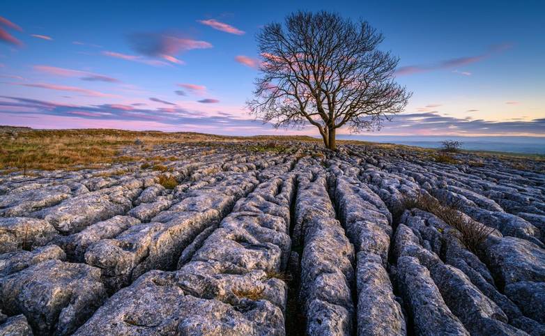 Above Malham Village in the Yorkshire Dales there is an area of Limestone Pavement known as Malham Lings