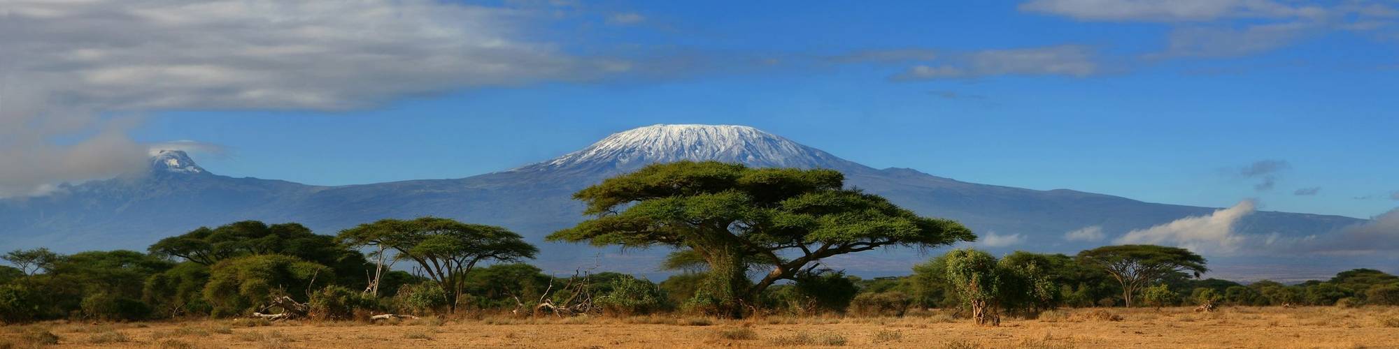   What Vaccinations Do You Need for Kilimanjaro? Tanzania Travel Vaccine Guide