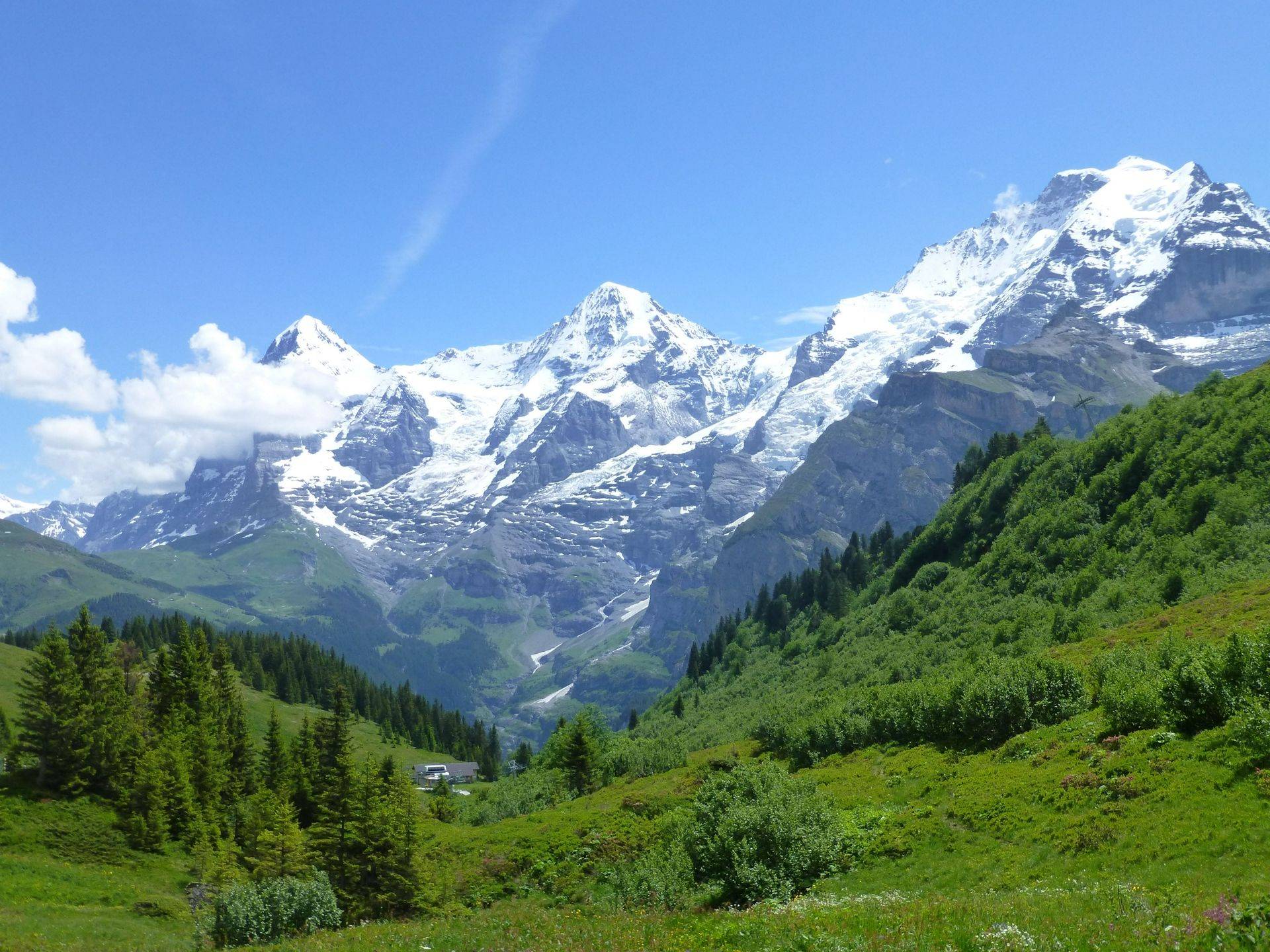 Go Slow In The Swiss Alps Naturetrek Go Slow In The Swiss Alps Naturetrek