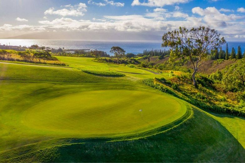 The Ritz-Carlton Kapalua  golf aerial.jpg