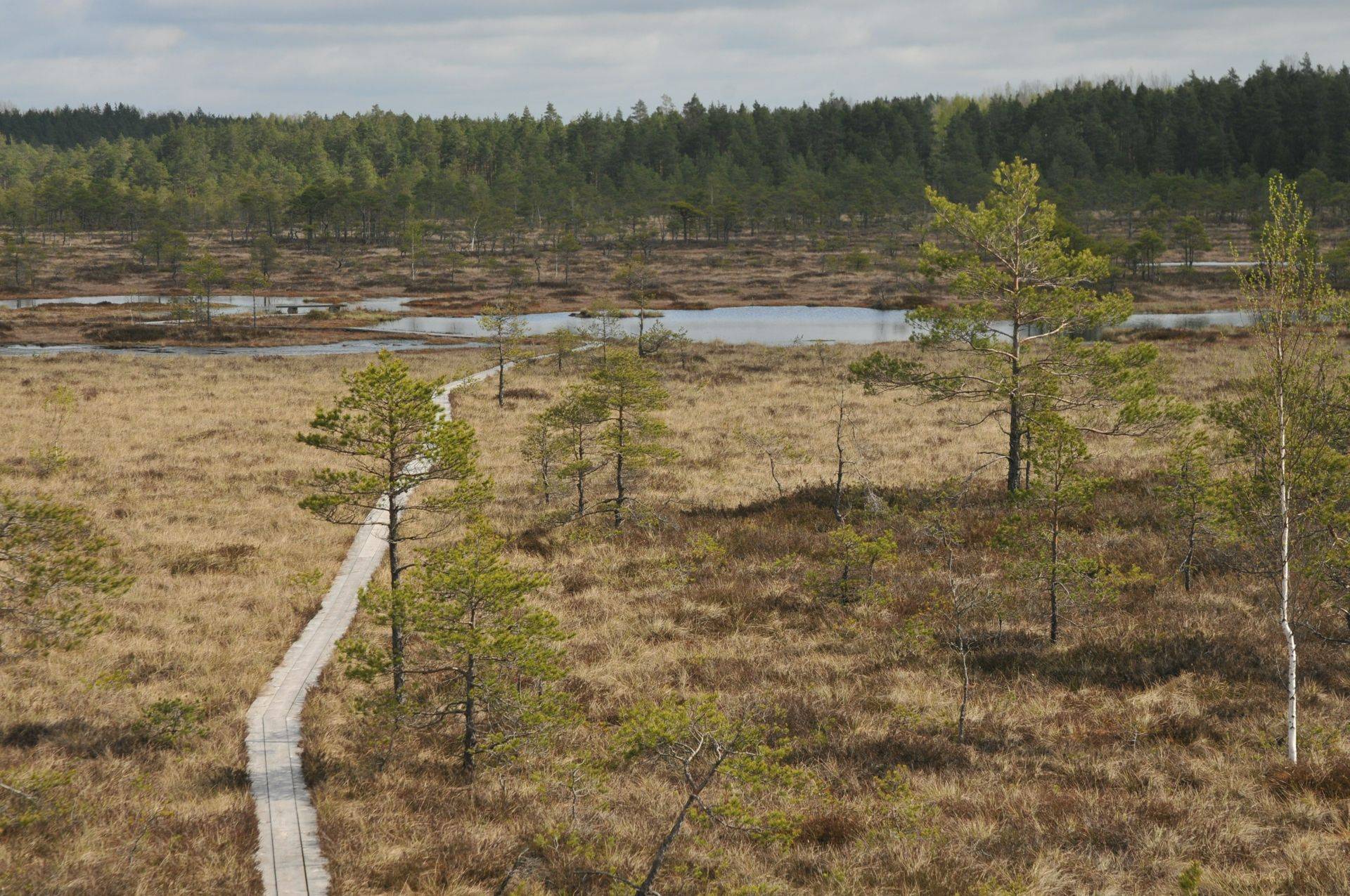 Estonia in Autumn - Naturetrek