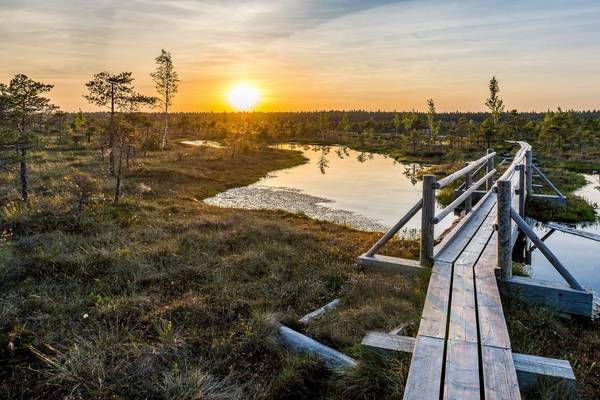 Kemeri National Park Shutterstock 434823388