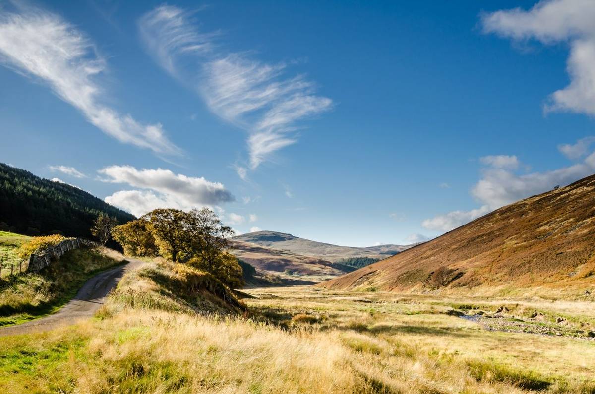 College Valley is an area of tranquillity and natural beauty in north Northumberland