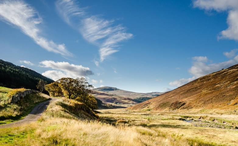 College Valley is an area of tranquillity and natural beauty in north Northumberland