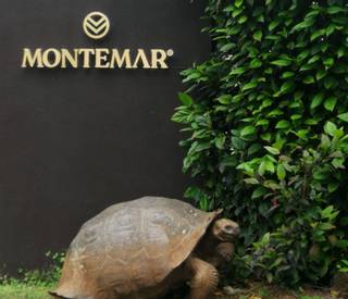 Montemar Eco Luxury Villas.jpg