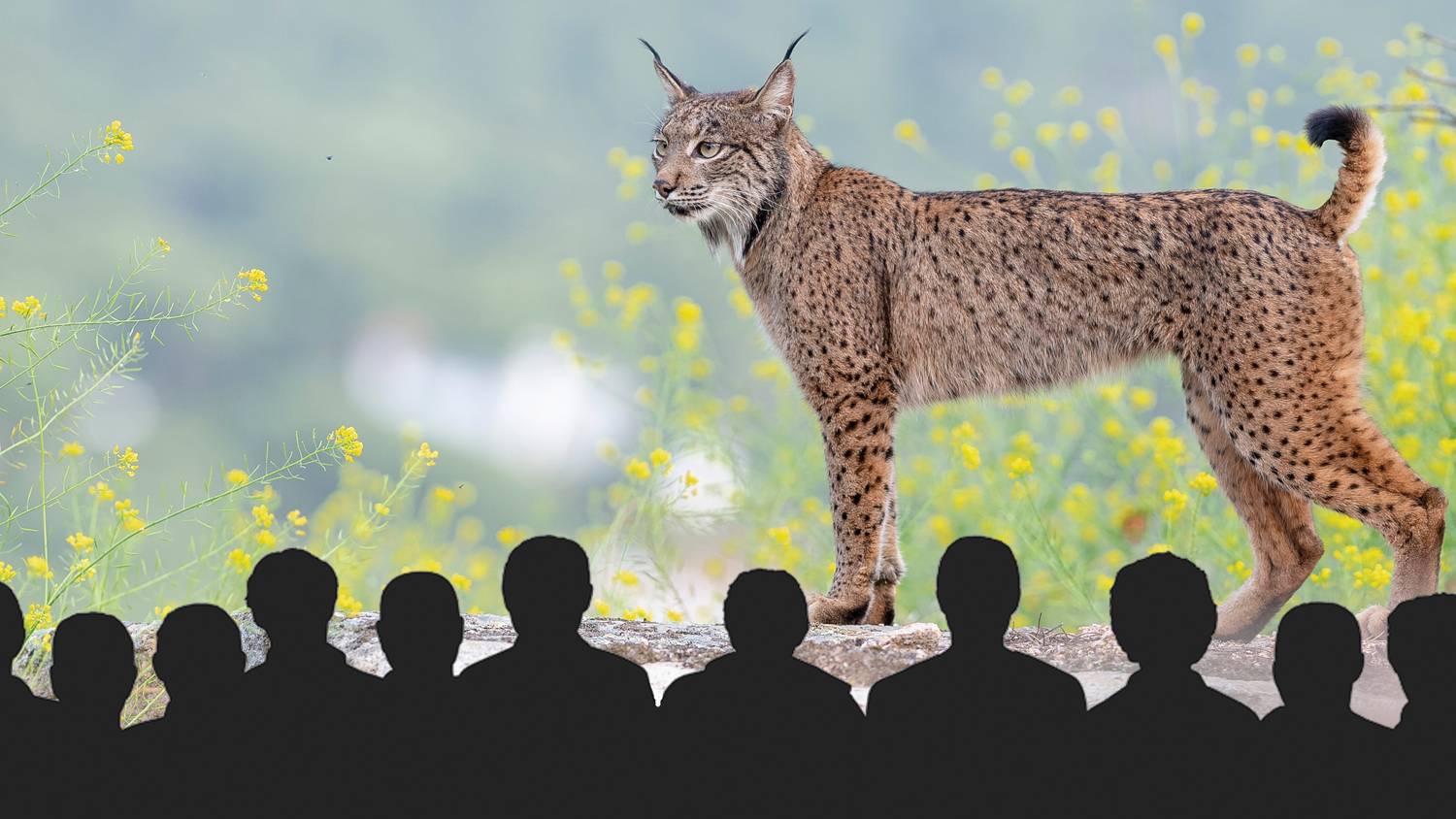 Join the Naturetrek Roadshow