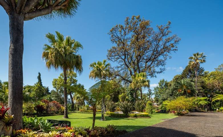 Portugal - Gardens of Madeira - Alberto Reynolds  - 29. QUINTA JARDINS DO LAGO GARDENS.jpg