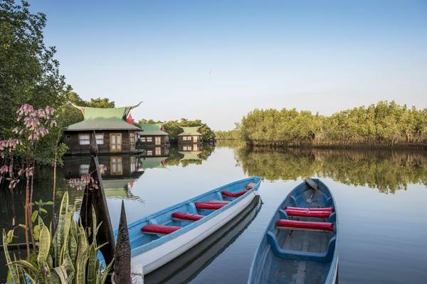 wildlife tours gambia