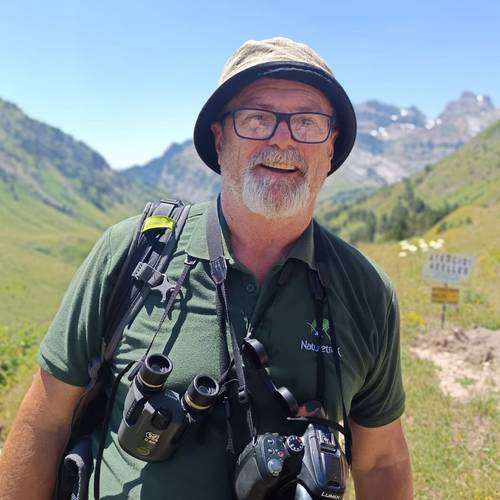 Chris Wilkinson