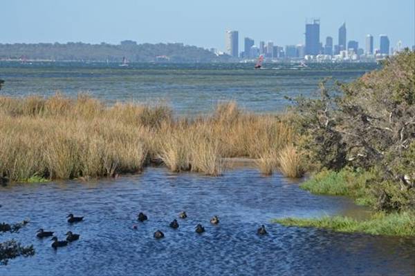 Perth as seen from near Alfred Cove