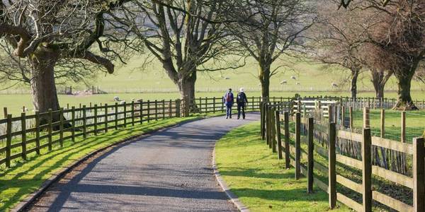 Exmoor views with pony