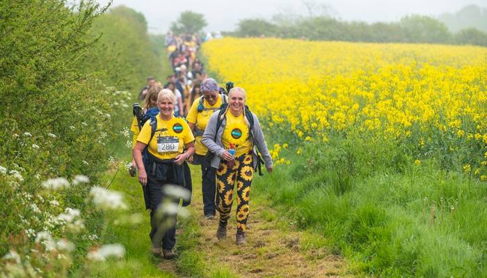 Exmoor views with pony