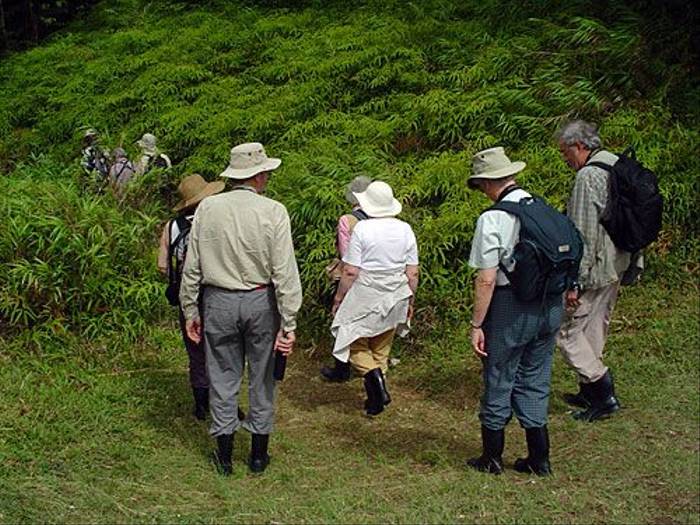 Naturetrek group in Tobago (Peter Dunn)