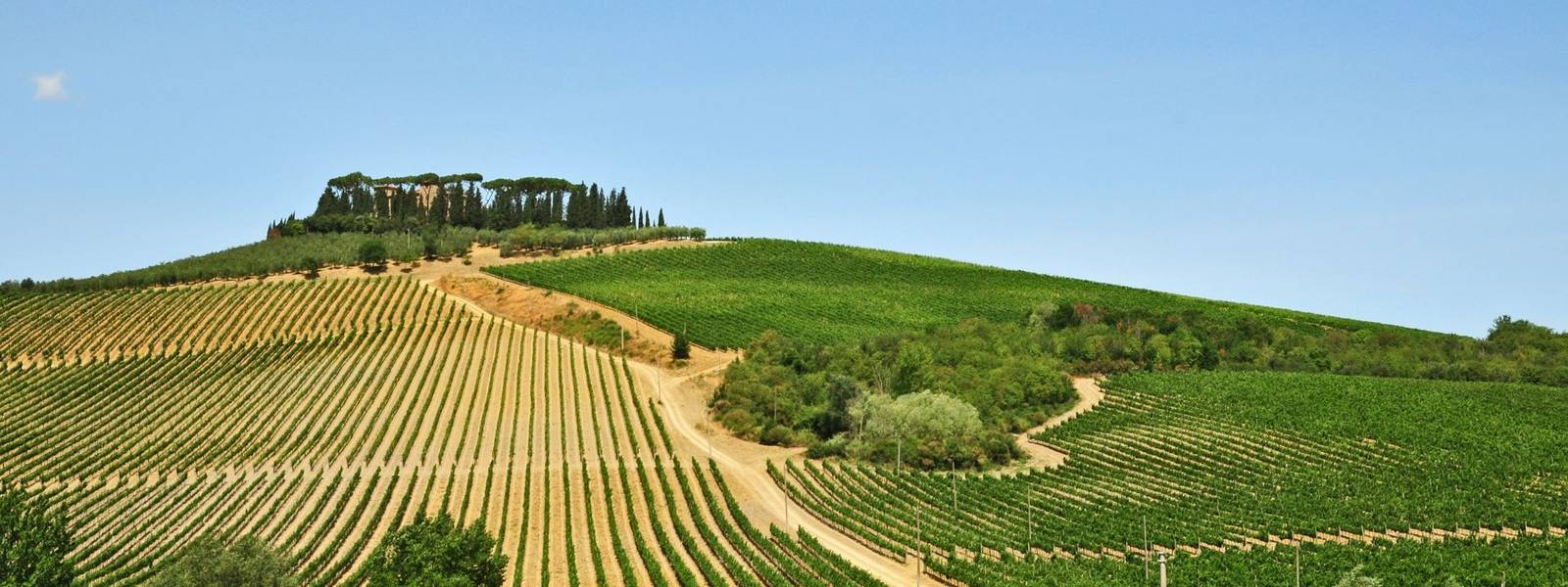 Chianti - Toscana - AdobeStock_43839304.jpeg